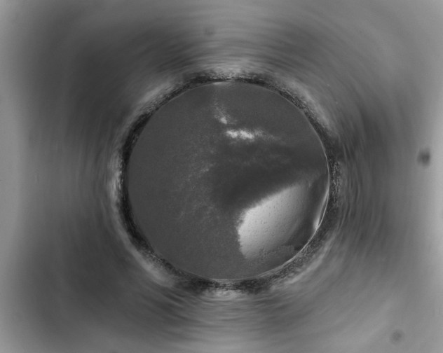 X0000102540590200808151644