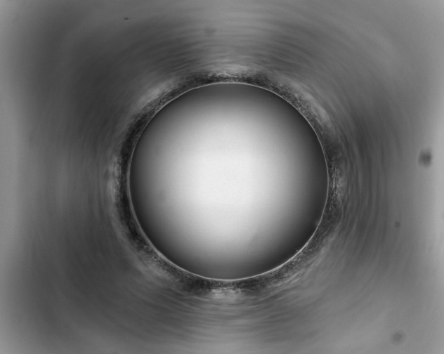 X0000102540591200808151644