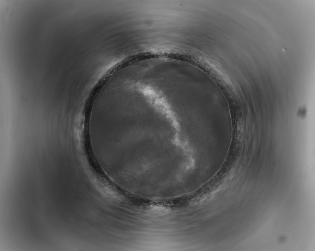 X0000102540592200808151644