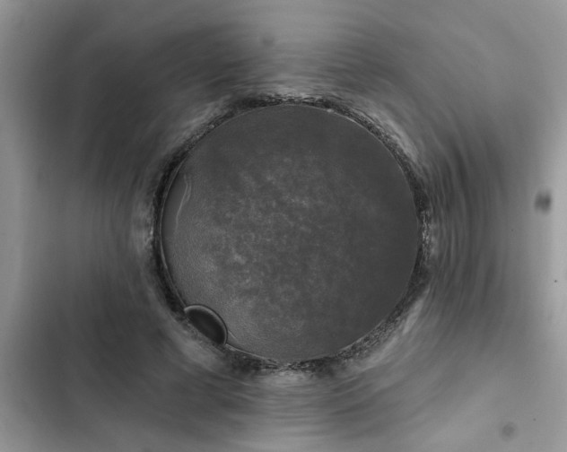 X0000102540593200808151644
