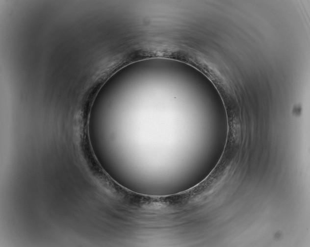 X0000102540594200808151644