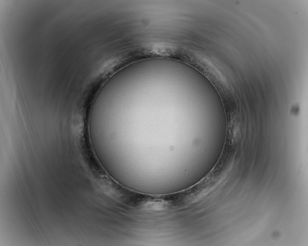 X0000102540595200808151644