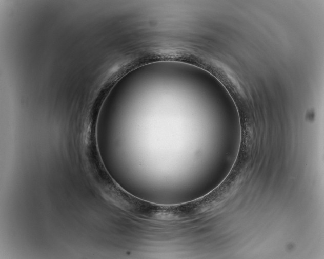 X0000102540596200808151644