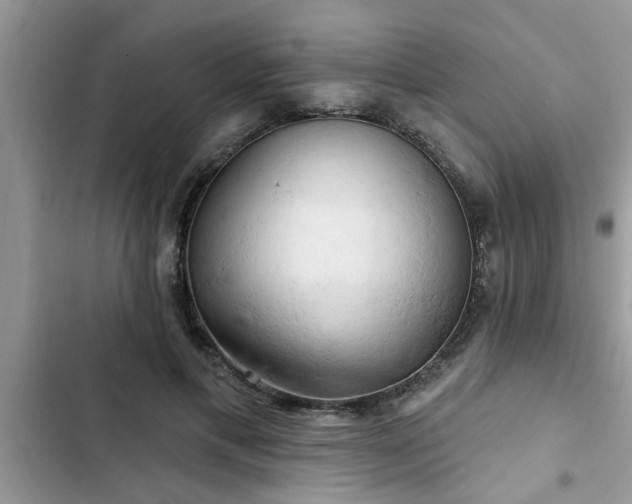 X0000102540597200808151644
