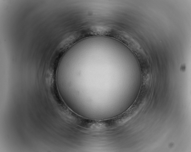 X0000102540599200808151644