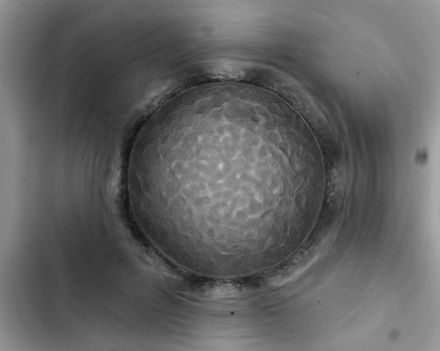 X0000102540600200808151644
