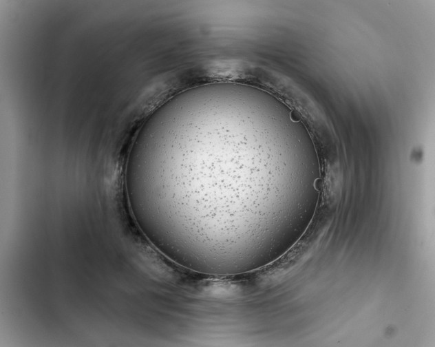 X0000102540601200808151644