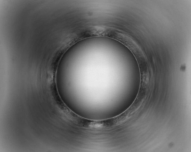 X0000102540602200808151644