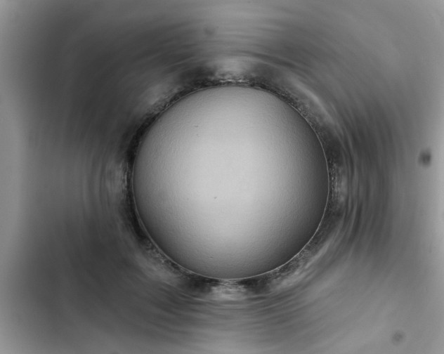 X0000102540603200808151644