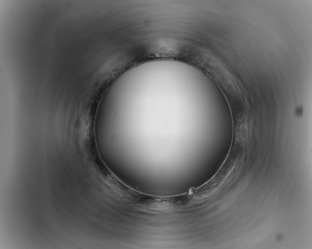 X0000102540604200808151644