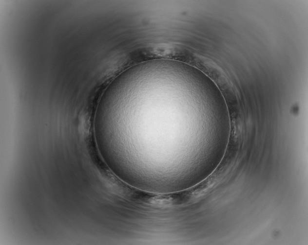 X0000102540606200808151644