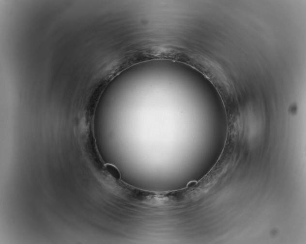 X0000102540607200808151644
