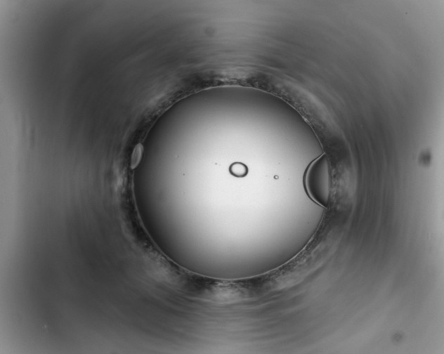 X0000102540608200808151644