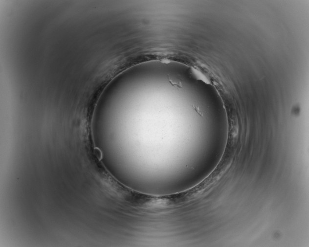 X0000102540609200808151644