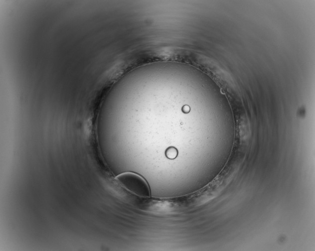 X0000102540611200808151644