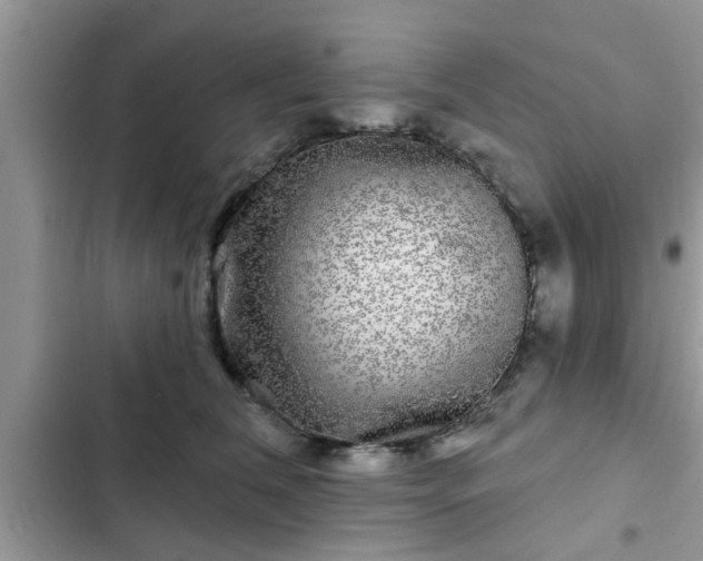 X0000102540612200808151644