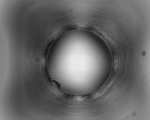 X0000102540613200808151644