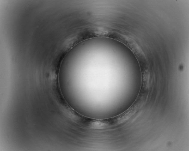 X0000102540614200808151644