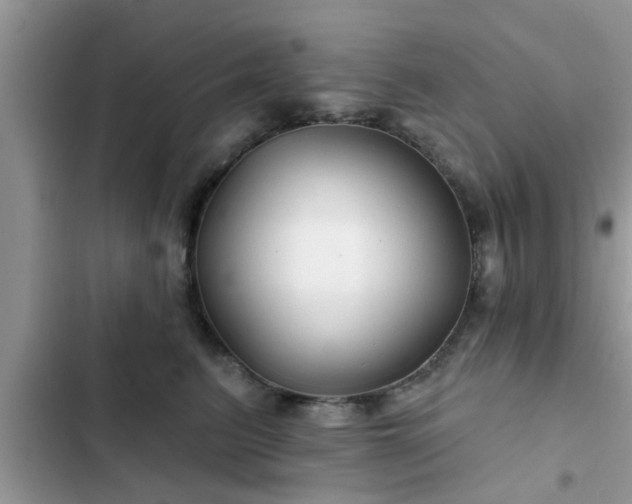 X0000102540615200808151644