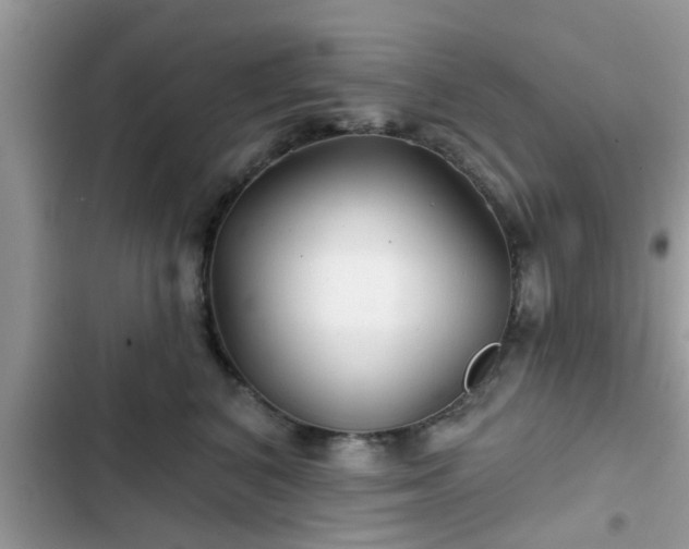 X0000102540616200808151644