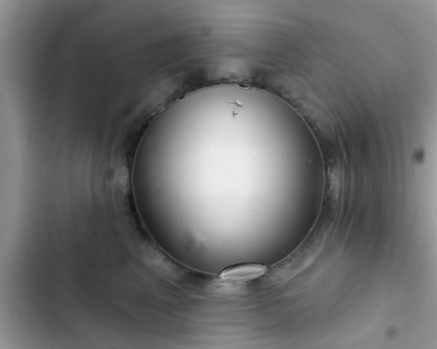 X0000102540617200808151644