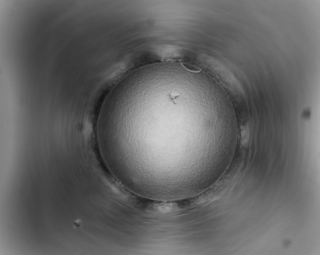 X0000102540618200808151644