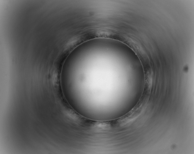 X0000102540619200808151644