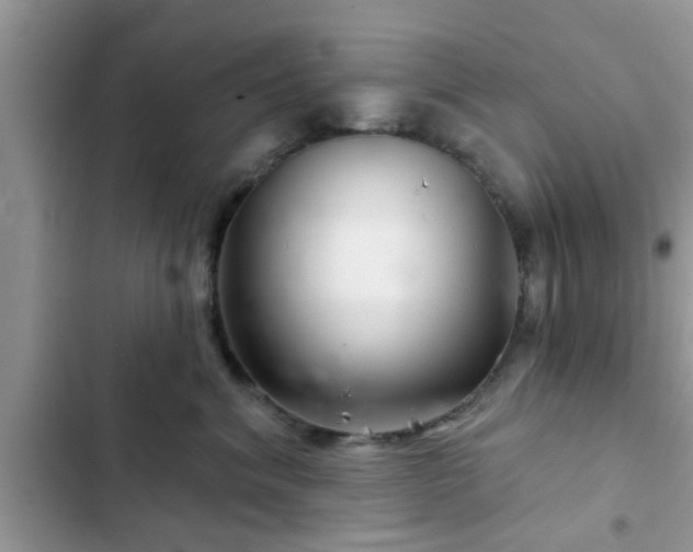 X0000102540620200808151644