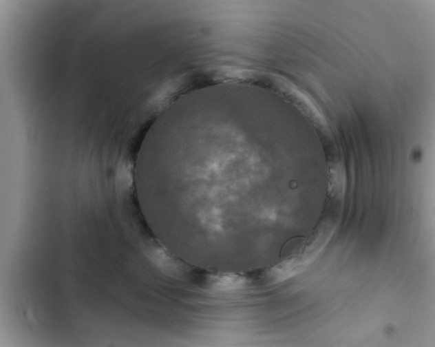 X0000102540621200808151644