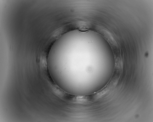 X0000102540622200808151644