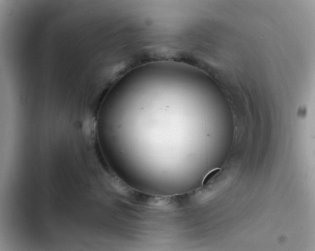X0000102540624200808151644