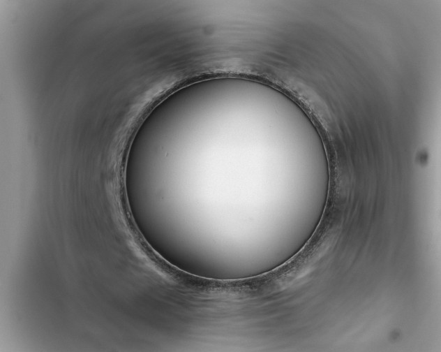 X0000102540625200808151643