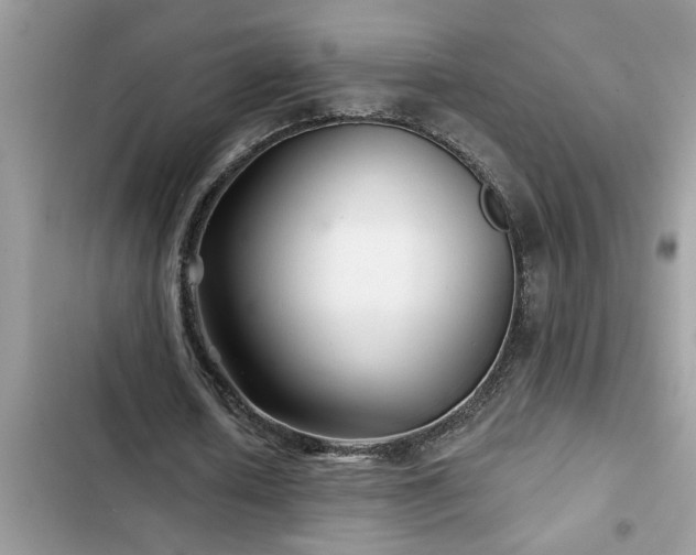 X0000102540626200808151643