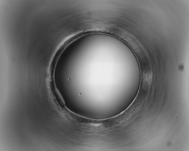 X0000102540628200808151643