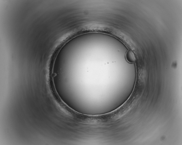 X0000102540629200808151643