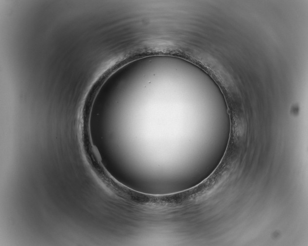 X0000102540630200808151643