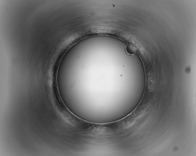X0000102540631200808151643