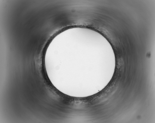 X0000102540632200808151643