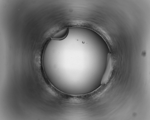 X0000102540633200808151643