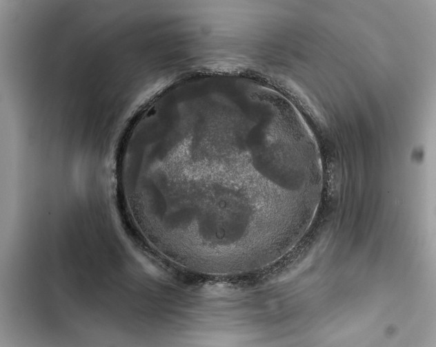 X0000102540634200808151643