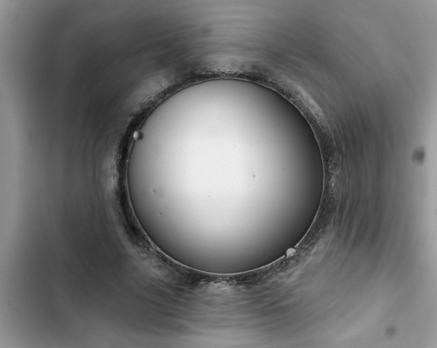 X0000102540635200808151643