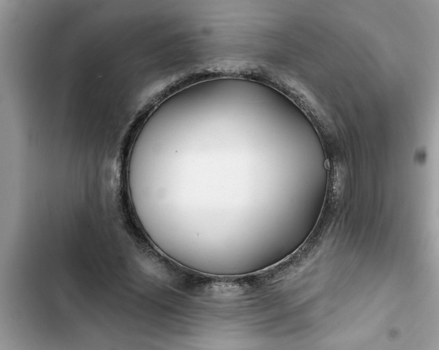 X0000102540636200808151643