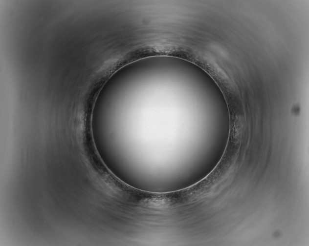 X0000102540639200808151643