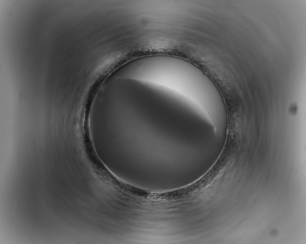 X0000102540640200808151643