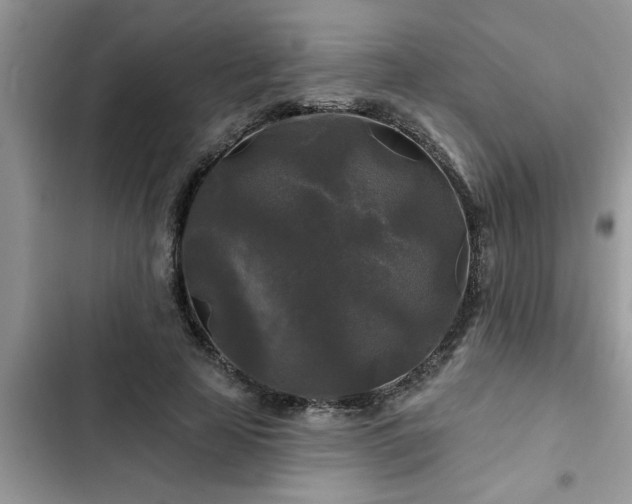 X0000102540641200808151643