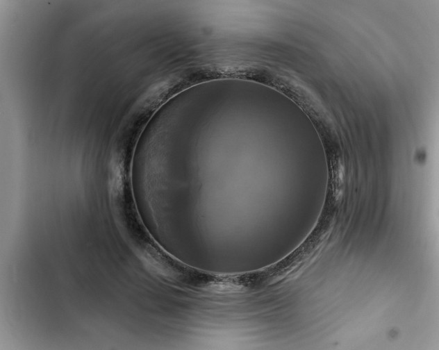X0000102540644200808151643