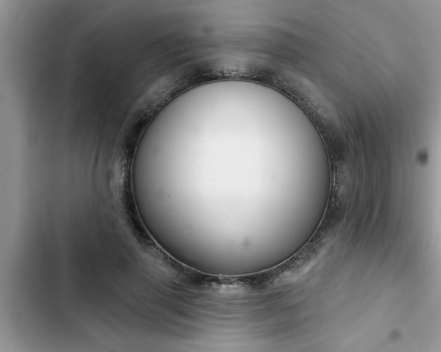 X0000102540645200808151643