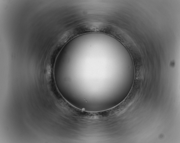X0000102540646200808151643