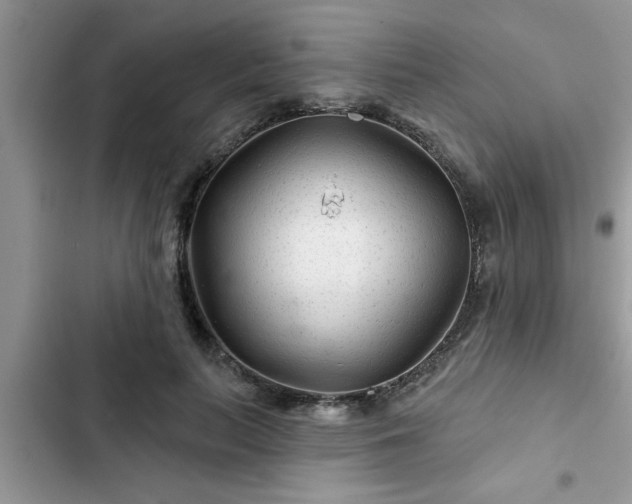 X0000102540647200808151643