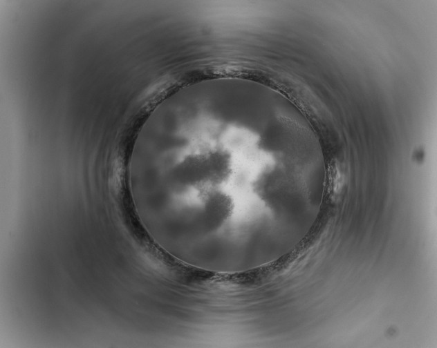 X0000102540648200808151643